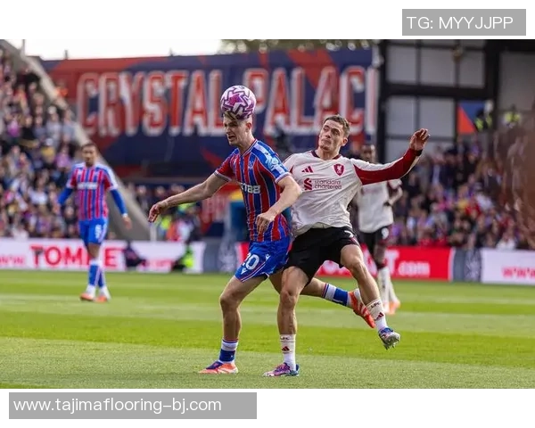 水晶宫与切尔西激战正酣比赛精彩瞬间回顾与分析