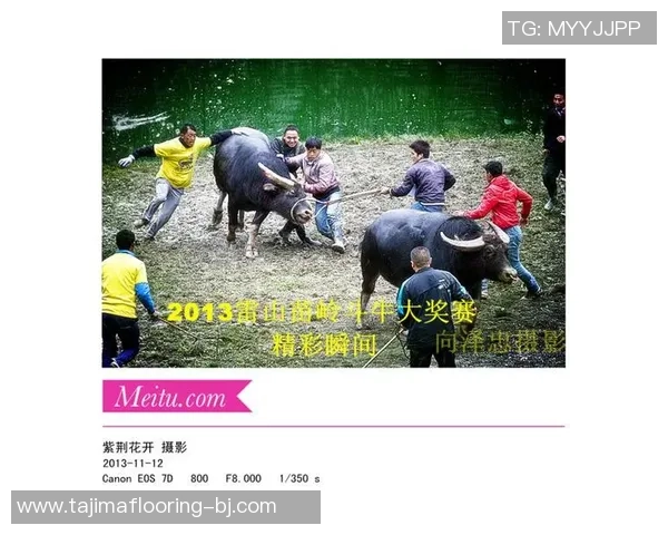 精彩对决泰国与越南足球赛全程视频回顾与精彩瞬间分析