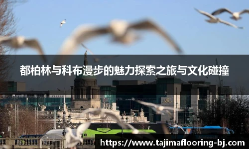 都柏林与科布漫步的魅力探索之旅与文化碰撞
