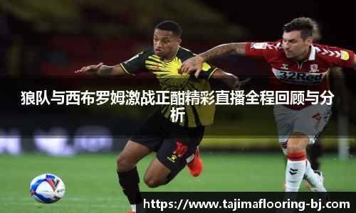 狼队与西布罗姆激战正酣精彩直播全程回顾与分析